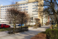 Vitsand_4