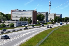 Vitsand_6
